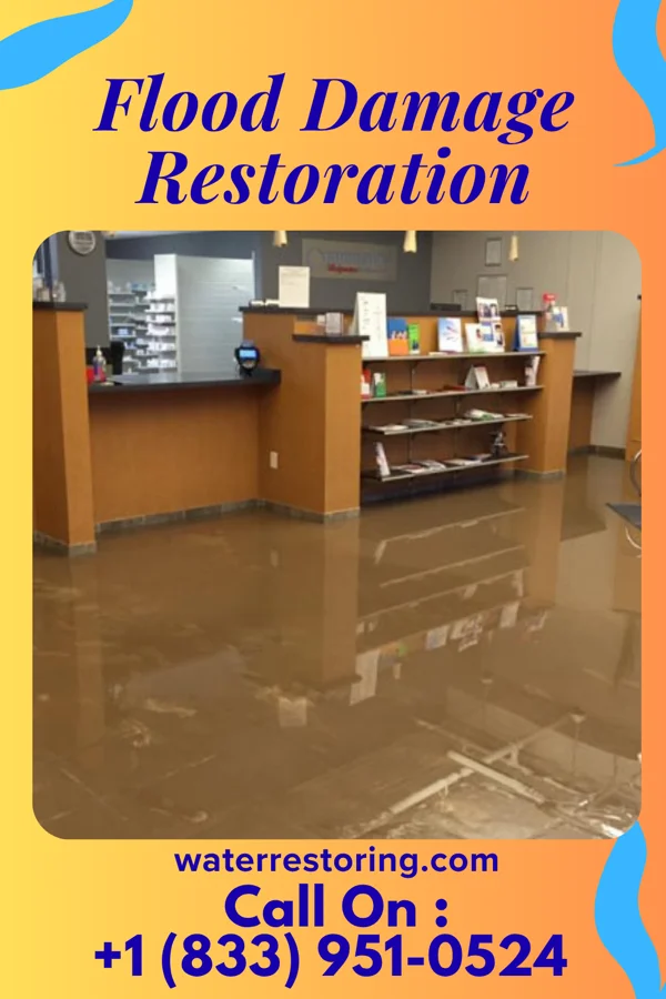 Flood Damage Restoration in Montura, FL