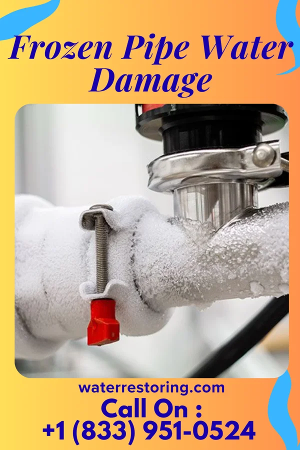 Frozen Pipe Water Damage in Montura, FL