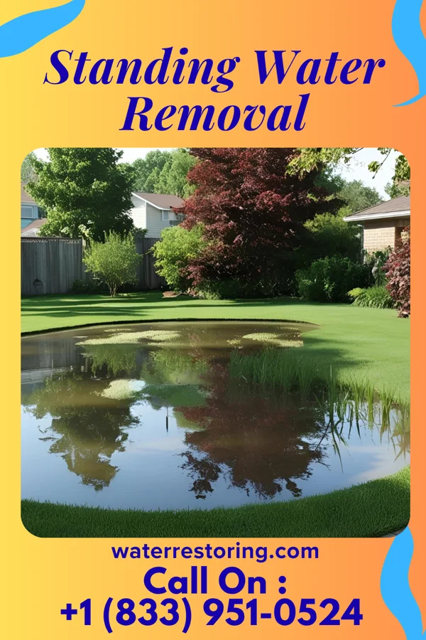 Standing Water Removal in Montura, FL